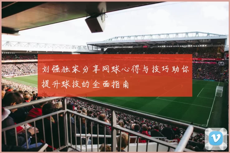 刘强独家分享网球心得与技巧助你提升球技的全面指南
