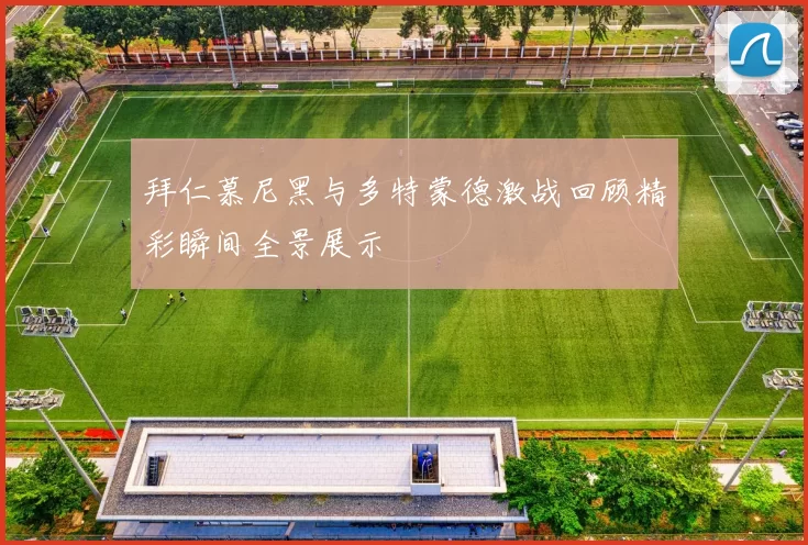 拜仁慕尼黑与多特蒙德激战回顾精彩瞬间全景展示