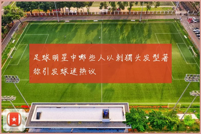足球明星中哪些人以刺猬头发型著称引发球迷热议
