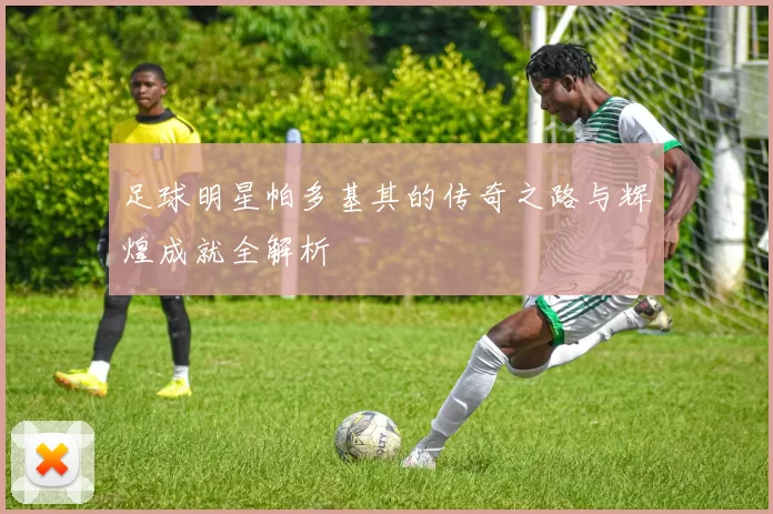 足球明星帕多基其的传奇之路与辉煌成就全解析