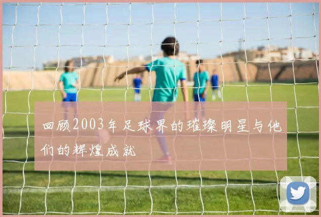 回顾2003年足球界的璀璨明星与他们的辉煌成就