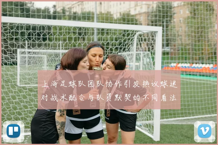 上海足球队团队协作引发热议球迷对战术配合与队员默契的不同看法
