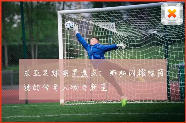 东亚足球明星盘点：那些闪耀绿茵场的传奇人物与新星