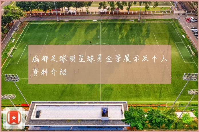 成都足球明星球员全景展示及个人资料介绍