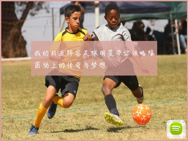 我的好友阵容足球明星带你领略绿茵场上的传奇与梦想