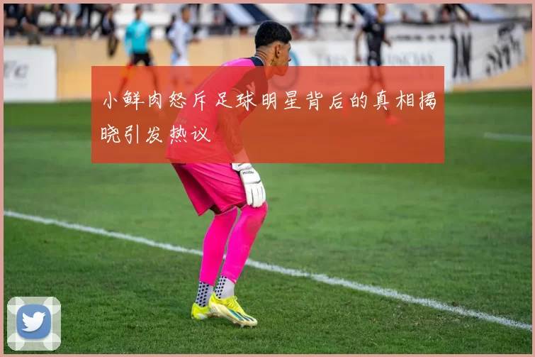 小鲜肉怒斥足球明星背后的真相揭晓引发热议