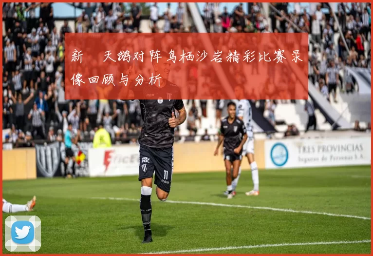新潟天鹅对阵鸟栖沙岩精彩比赛录像回顾与分析