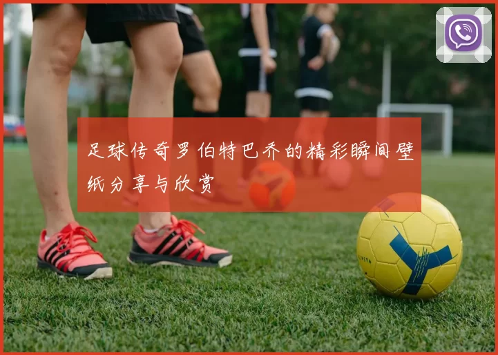 足球传奇罗伯特巴乔的精彩瞬间壁纸分享与欣赏