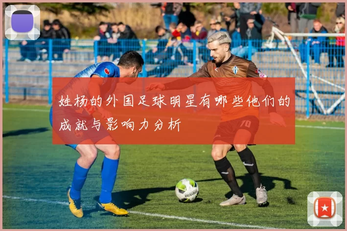 姓杨的外国足球明星有哪些他们的成就与影响力分析