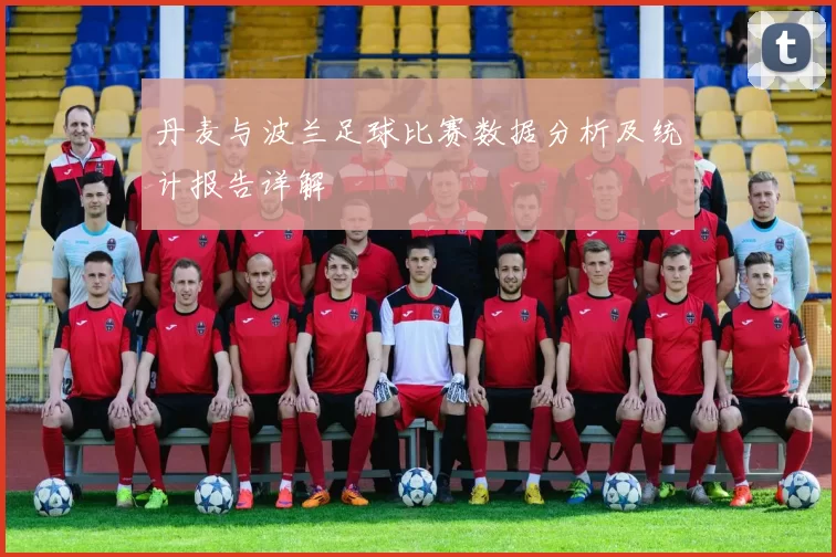丹麦与波兰足球比赛数据分析及统计报告详解