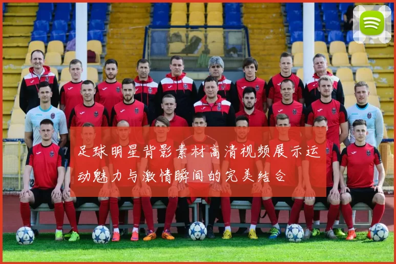 足球明星背影素材高清视频展示运动魅力与激情瞬间的完美结合