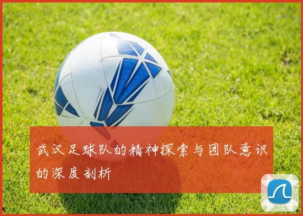 武汉足球队的精神探索与团队意识的深度剖析