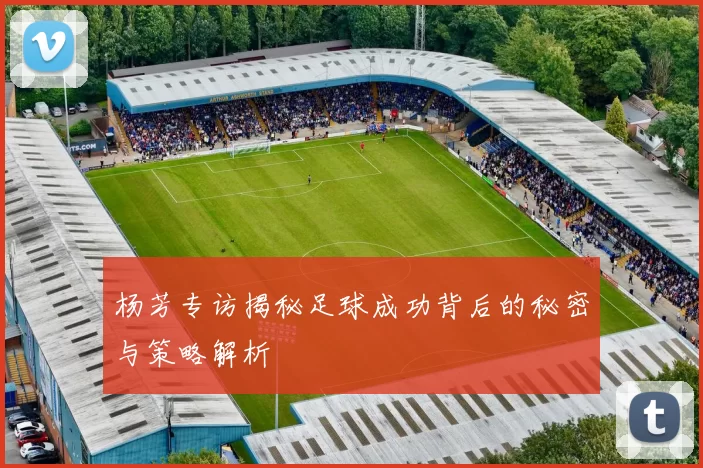杨芳专访揭秘足球成功背后的秘密与策略解析