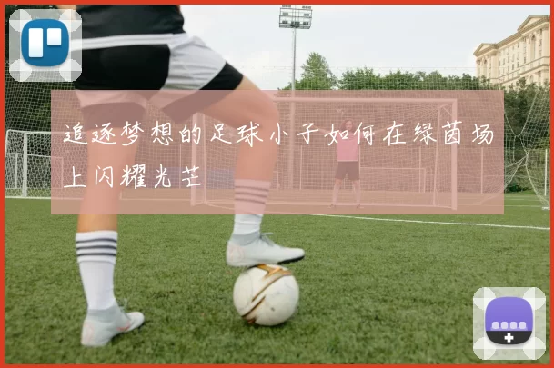 追逐梦想的足球小子如何在绿茵场上闪耀光芒