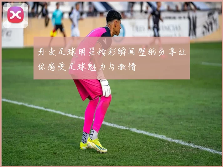 丹麦足球明星精彩瞬间壁纸分享让你感受足球魅力与激情